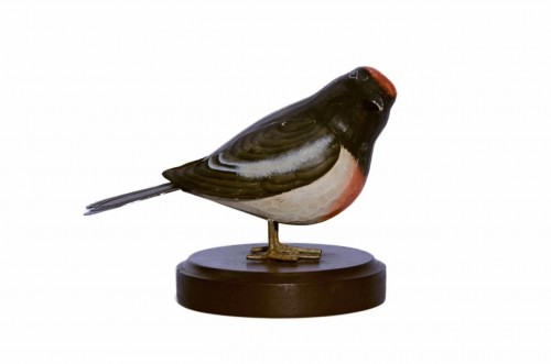 32-187 Red-capped Robin auf Base