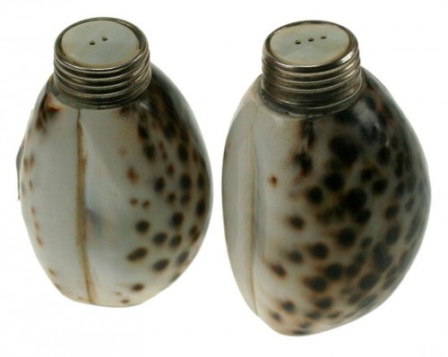 19-178 Tiger shell salt+pepper set/2