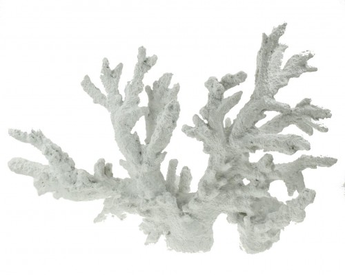 31-411 Corail moyen