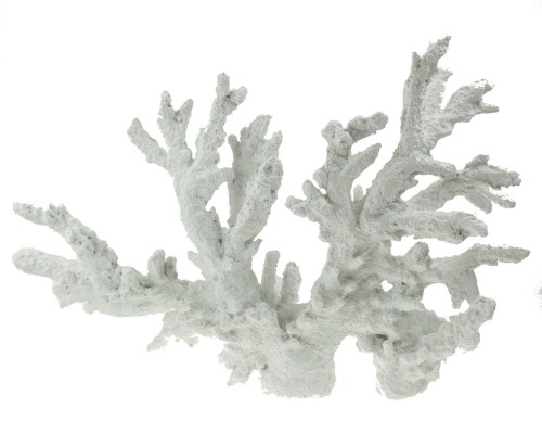 31-411 Coral medium